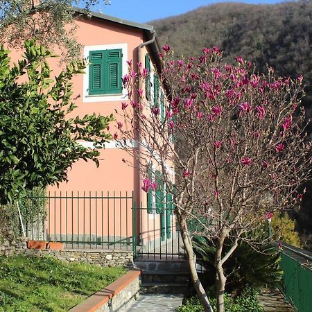 Casa Laura Βίλα Zoagli Εξωτερικό φωτογραφία