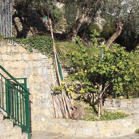 Casa Laura Βίλα Zoagli Εξωτερικό φωτογραφία