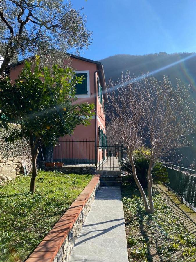 Casa Laura Βίλα Zoagli Εξωτερικό φωτογραφία