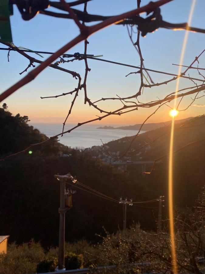 Casa Laura Βίλα Zoagli Εξωτερικό φωτογραφία