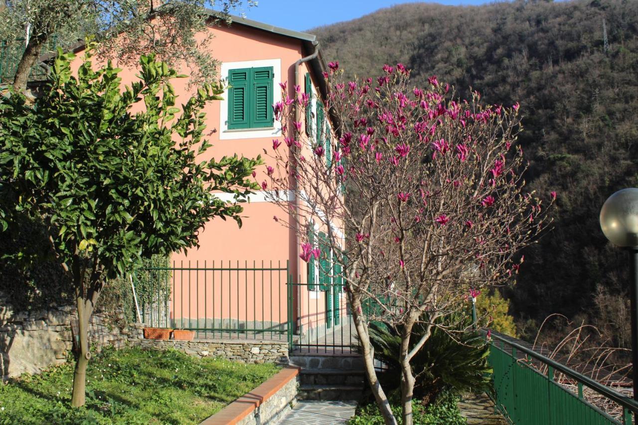 Casa Laura Βίλα Zoagli Εξωτερικό φωτογραφία