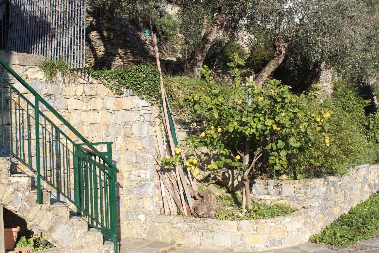 Casa Laura Βίλα Zoagli Εξωτερικό φωτογραφία
